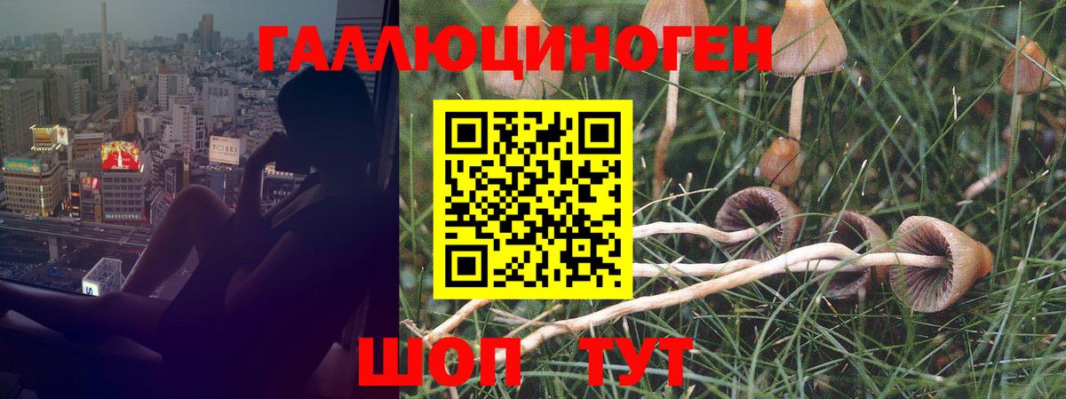 Галлюциногенные грибы мицелий  Вход с VPN  Псилоцибиновые грибы Psilocybe  Воткинск 